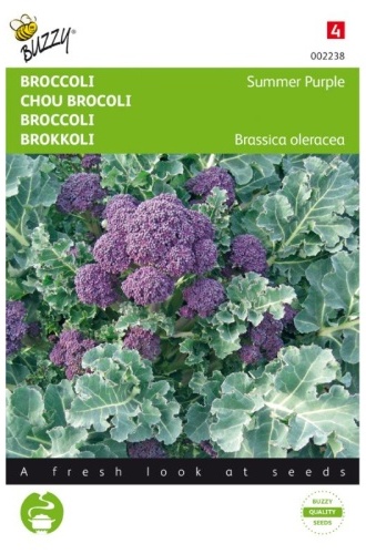 Brokolica stonková Summer Purple cca. 0,25 g
